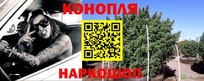прущие крисы Моздок