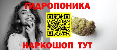 прущие крисы Моздок