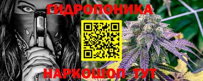 прущие крисы Моздок