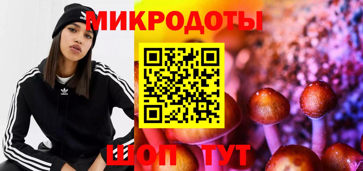 Галлюциногенные грибы мицелий Чита