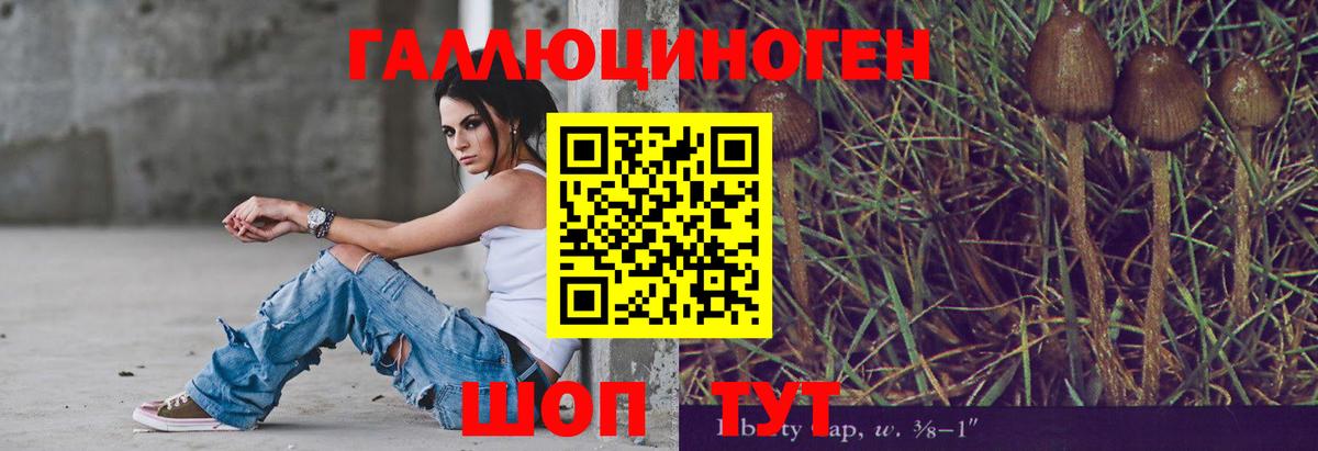 Чита  Галлюциногенные грибы прущие грибы  Вход с VPN  Галлюциногенные грибы GOLDEN TEACHER 